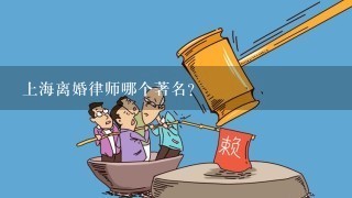 上海离婚律师哪个著名？