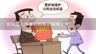 谁知道上海著名婚姻律师哪个好？