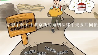 您想了解关于北京新的婚姻法律中夫妻共同债务问题吗